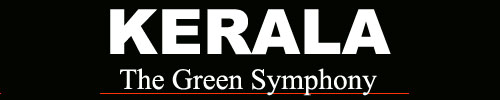 Kerala: The Green Symphony, an interactive CD ROM on Kerala, India 